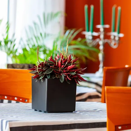 Art Ventaglio Szálloda Bardolino