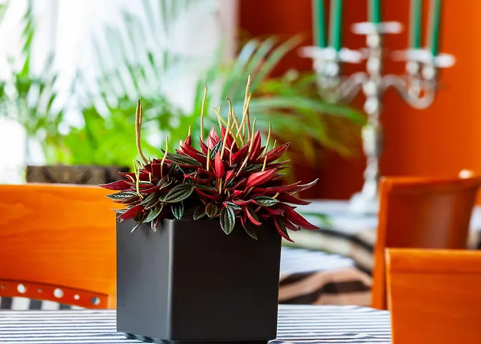 Art Ventaglio 호텔 바르돌리노